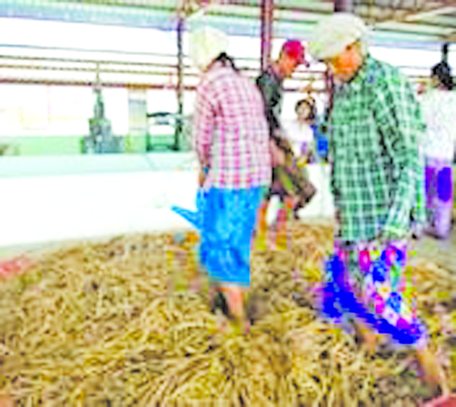 ဆောင်းပါး