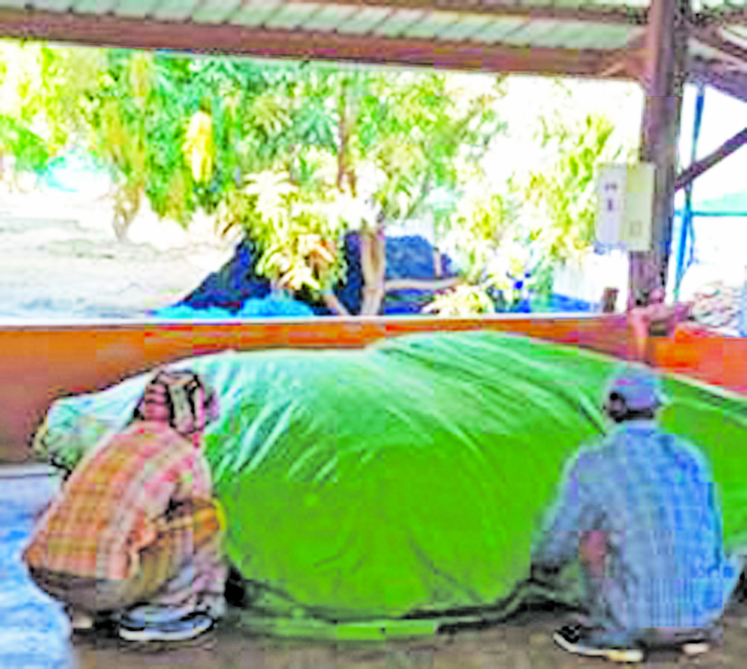 ဆောင်းပါး