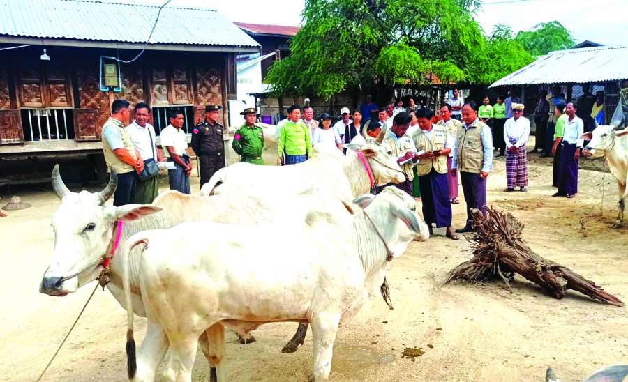 ဆောင်းပါး