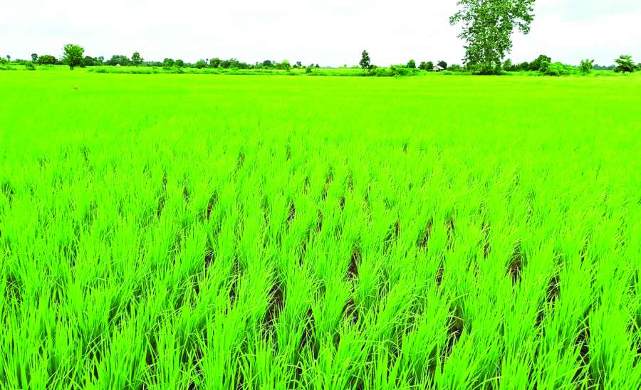 ဆောင်းပါး