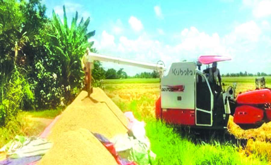 ဆောင်းပါး