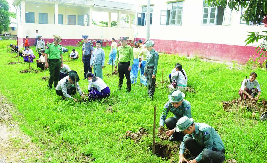 ဆောင်းပါး