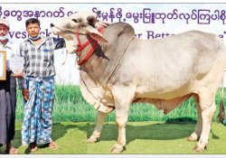 မွေးမြူရေးဆိုင်ရာ အသိပညာ 