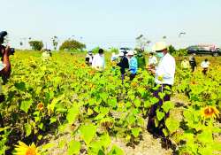 ဆောင်းပါး