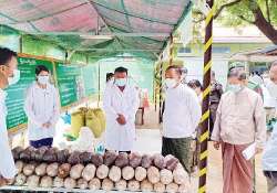 မှိုမျိုးစုံ တစ်ပိုင်တစ်နိုင် စိုက်ပျိုးခြင်းမှ စီးပွားဖြစ် စိုက်ပျိုးကြစေရေး ကြိုးပမ်းဆောင်ရွက်