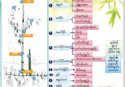 ဝါးအခြေခံစက်မှုလုပ်ငန်းနှင့် ဝါးအချောထည်ထုတ်ကုန်ပစ္စည်းများ ဖွံ့ဖြိုးတိုးတက်ရေးဆီသို့ 