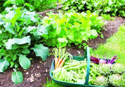 ဆောင်းပါး