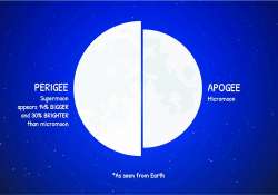 ဆောင်းပါး