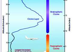 ဆောင်းပါး