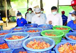 ဆောင်းပါး