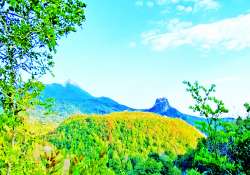 ဆောင်းပါး