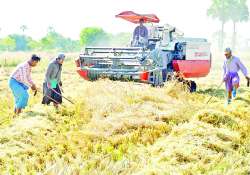 ဆောင်းပါး