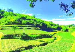 ဆောင်းပါး