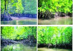 ဆောင်းပါး