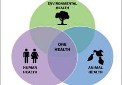 ဆောင်းပါး