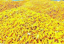 ဆောင်းပါး