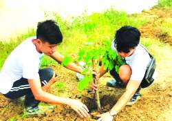 ဆောင်းပါး