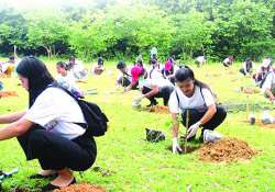 ဆောင်းပါး