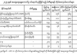 မြန်မာ့စာမျက်နှာသစ် - ၂၀၂၅ ခုနှစ် ပါတီစုံဒီမိုကရေစီ အထွေထွေရွေးကောက်ပွဲ