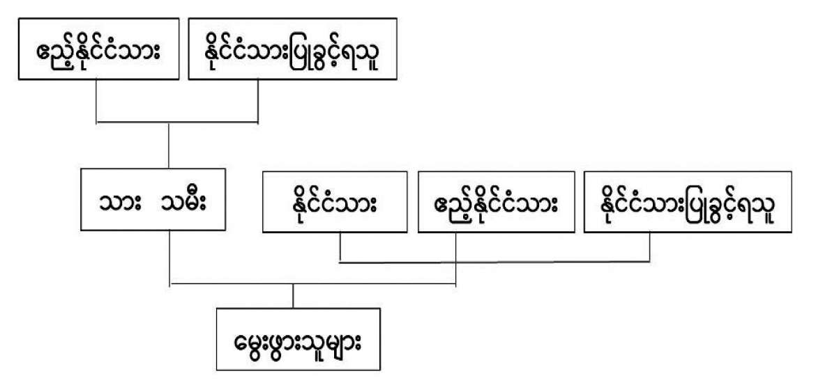 ရွေးကောက်တင်မြှောက်ခံပိုင်ခွင့်၊ နိုင်ငံသားဖြစ်ခြင်း၊ ပြည်ပလွှမ်းမိုးမှုနှင့် နိုင်ငံခြားအထောက်အပံ့များ