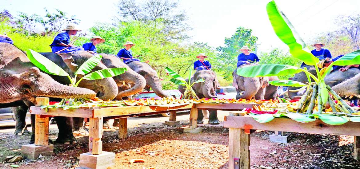 မန်းရွှေစက်တော် အရောက်သွားလို့ ဆင်စခန်းမှာ တစ်ထောက်နားစို့ 