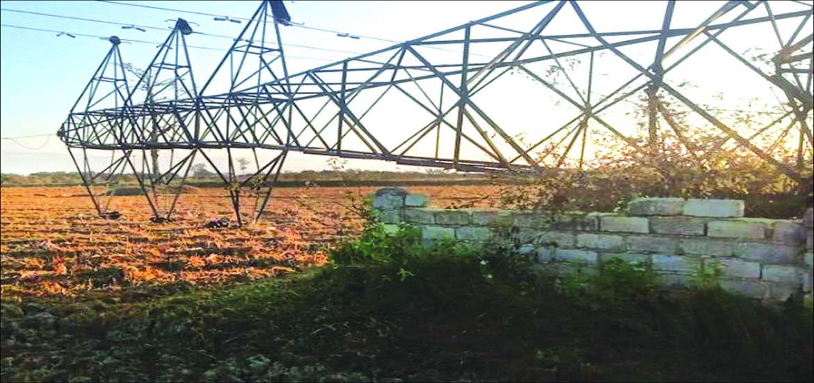 ပန်းလိုလျှင် အပင်ကိုပျိုးပါ၊ မီးလိုလျှင် လျှပ်စစ်ကို ကာကွယ်စောင့်ရှောက်ကြပါ