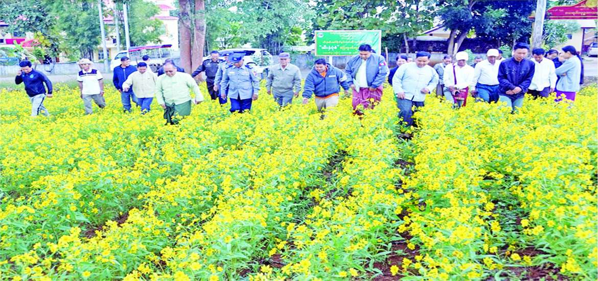 ဆောင်းပါး