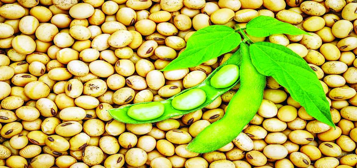 ဆောင်းပါး