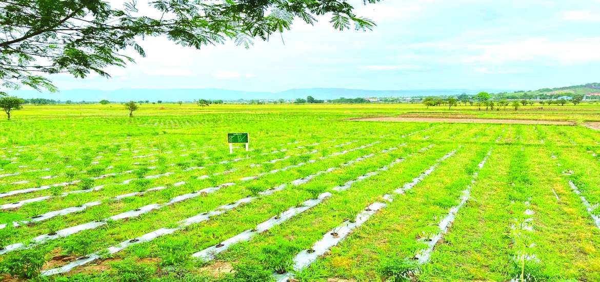 နမ့်ခင်မှသည် ရှမ်းအရှေ့တစ်လွှားဆီသို့ ….