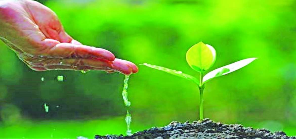 ဆောင်းပါး