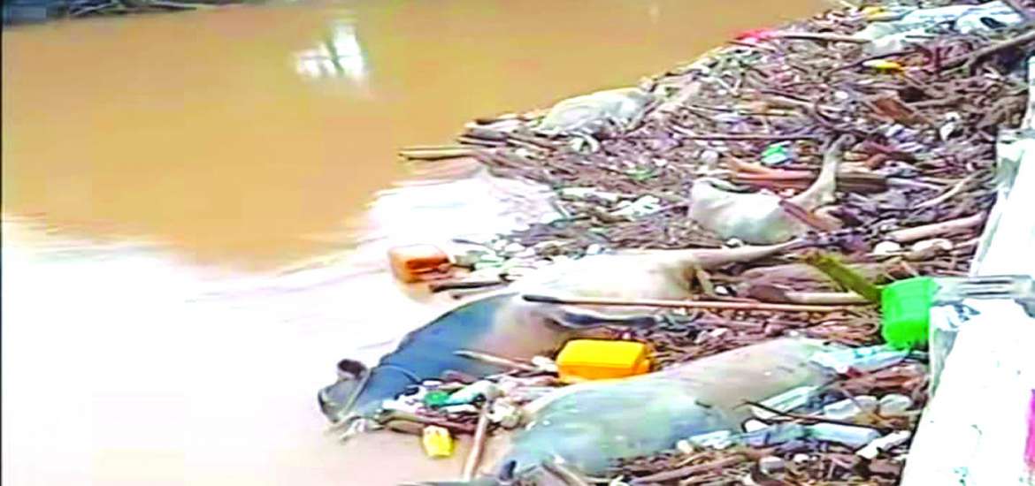 ဆောင်းပါး