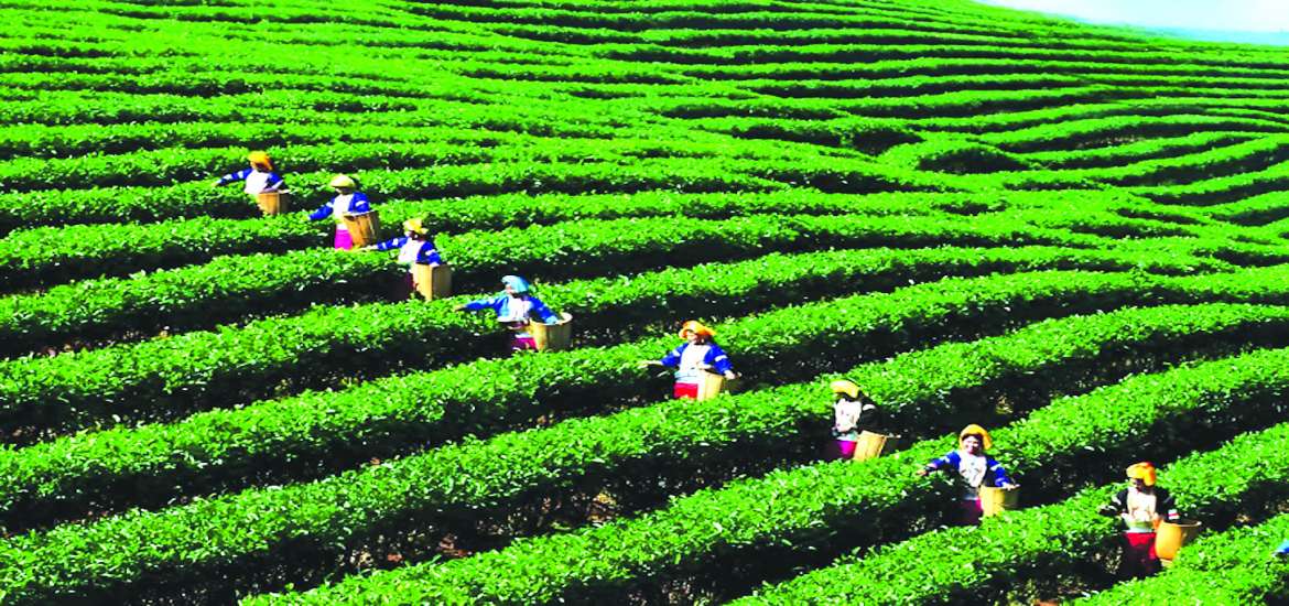 ဆောင်းပါး