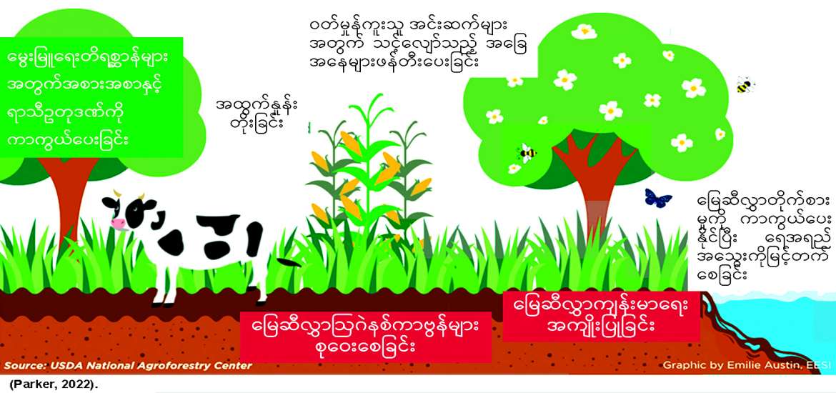 ရာသီဥတုပြောင်းလဲမှုကိုကျော်လွှားရေး စိုက်ပျိုးမွေးမြူရေး ပေါင်းစည်းစနစ်ဖော်ဆောင်ပေး