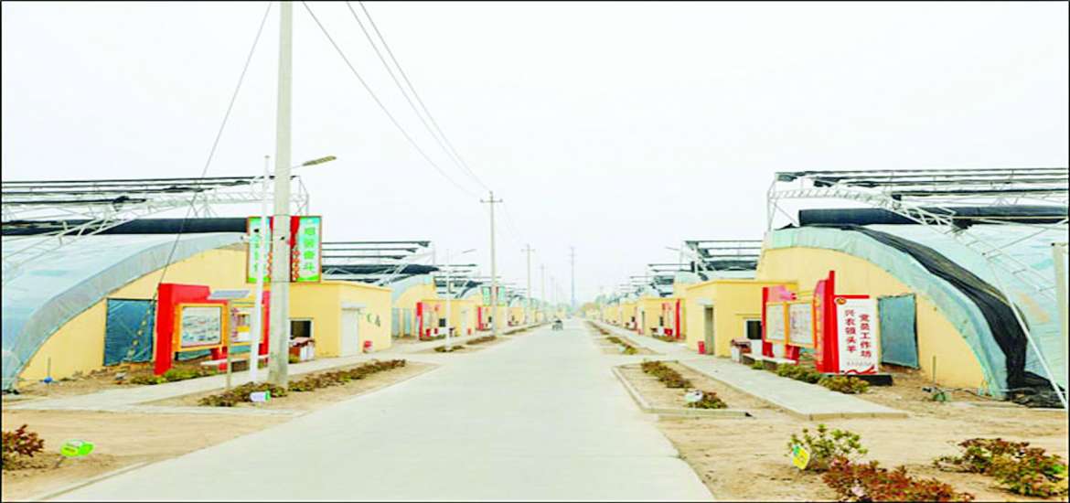 ဆောင်းပါး