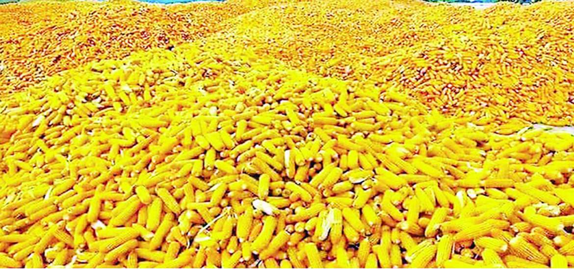 ဆောင်းပါး