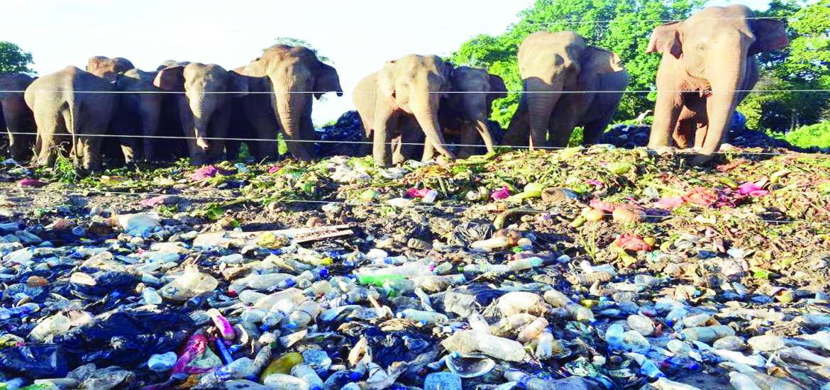 ဆောင်းပါး