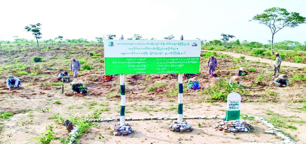 ဆောင်းပါး