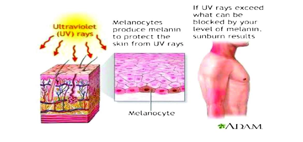 ဆောင်းပါး
