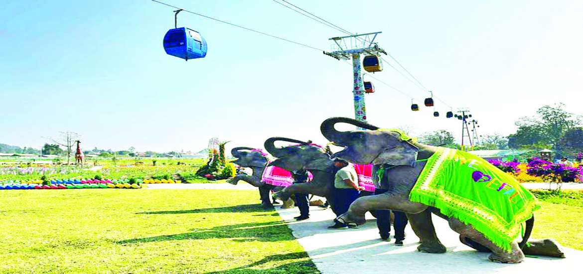 ခရီးသွားစေချင်သလား . . . တွန်းအားနှင့် ဆွဲအား တိုးပွားစေပါ